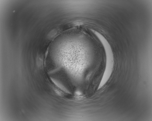 X0000062130333200512231445