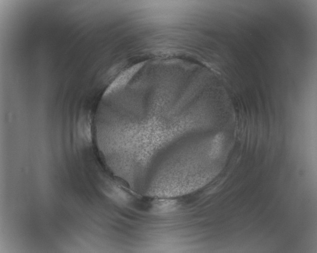 X0000062130334200512231445