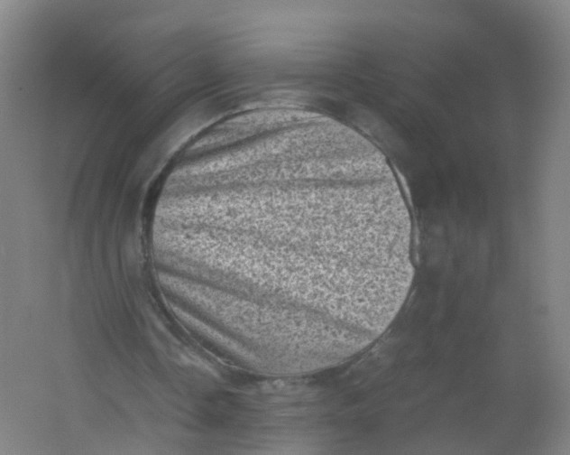 X0000062130338200512231444