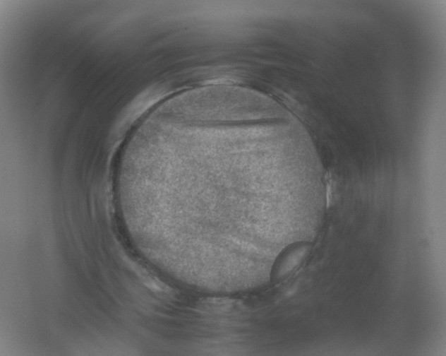 X0000062130339200512231444