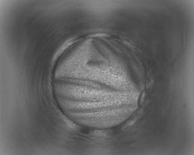 X0000062130341200512231444