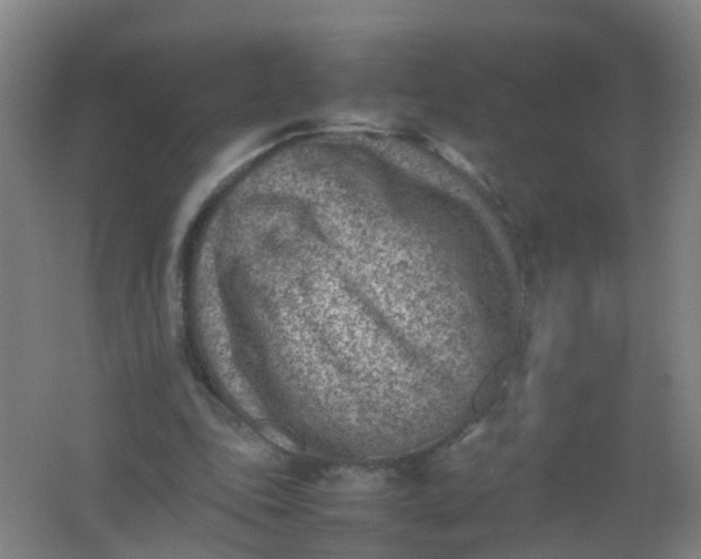 X0000062130343200512231444