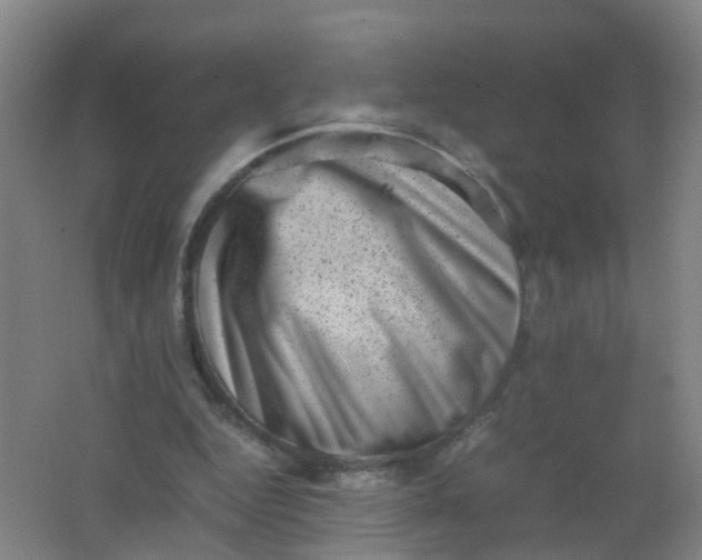 X0000062130344200512231444