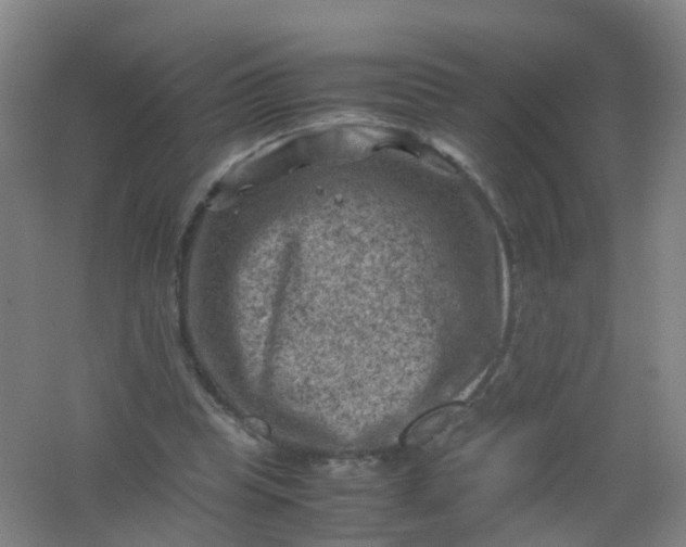 X0000062130345200512231444