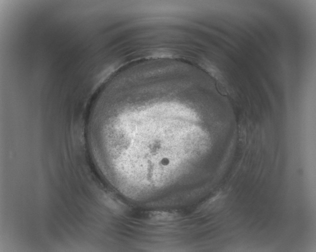 X0000062130347200512231444