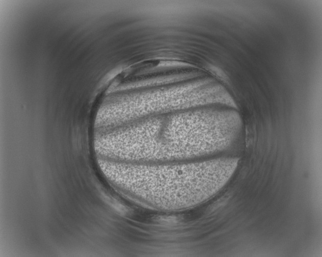 X0000062130349200512231444