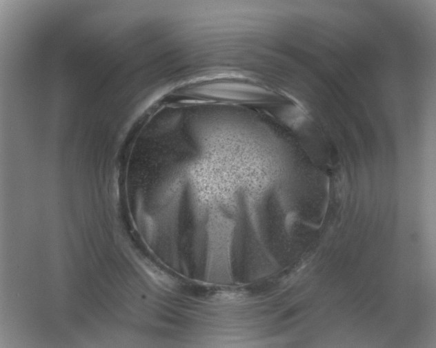 X0000062130350200512231444