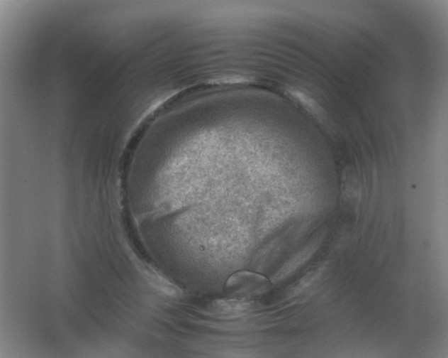 X0000062130351200512231444