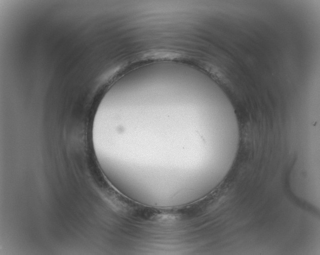 X0000062130352200512231444