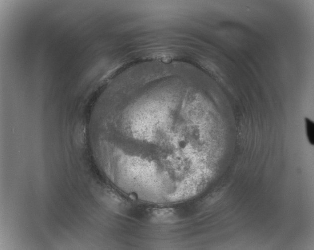 X0000062130355200512231444