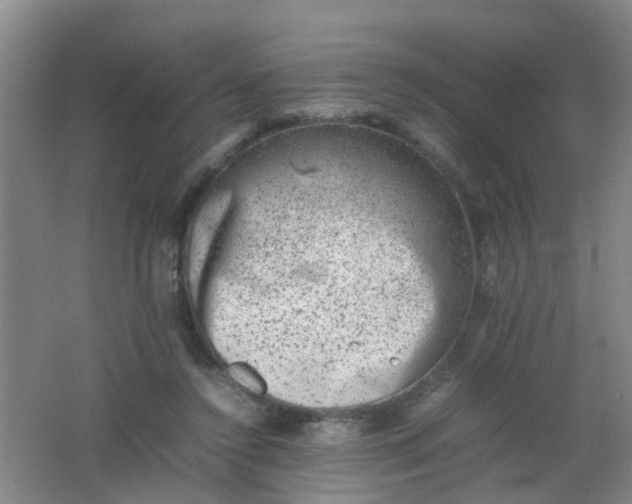 X0000062130356200512231444