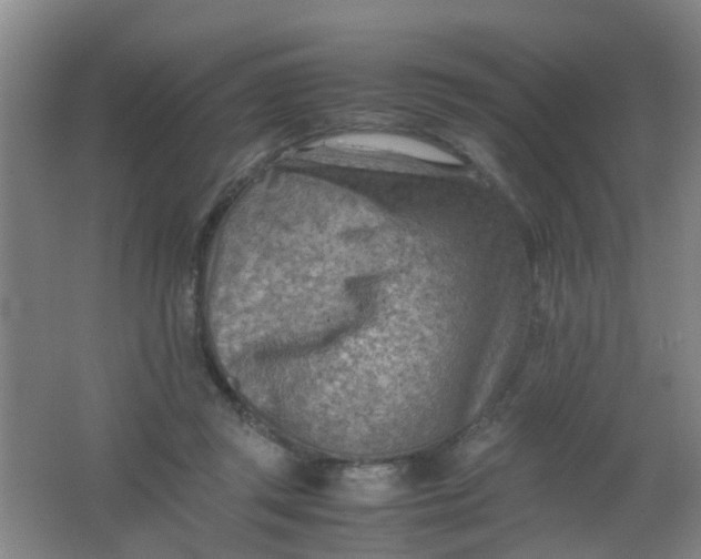 X0000062130357200512231444