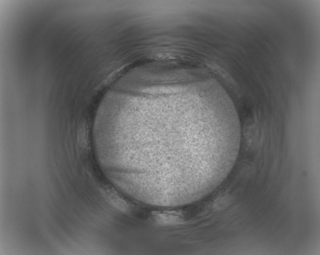 X0000062130359200512231444