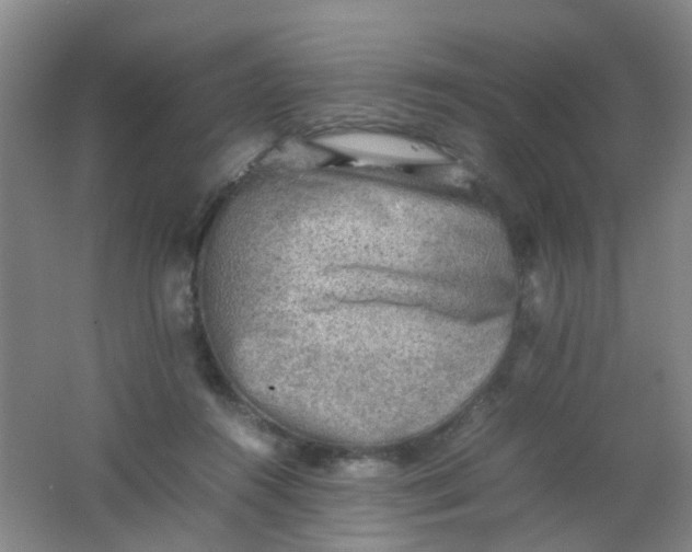 X0000062130360200512231444