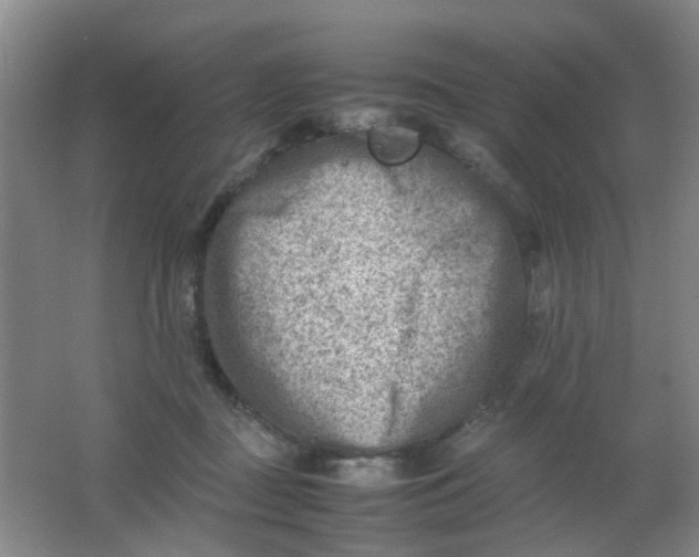 X0000062130363200512231444