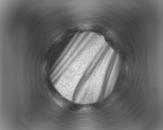 X0000062130364200512231444