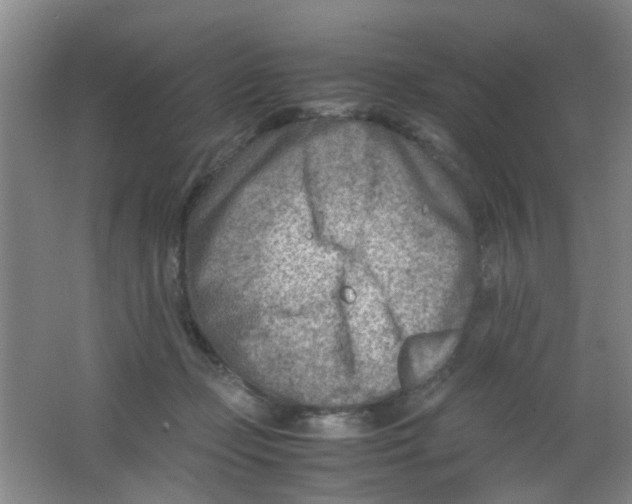 X0000062130365200512231444