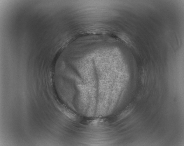 X0000062130366200512231444