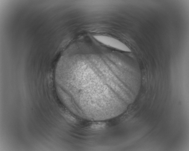 X0000062130369200512231444