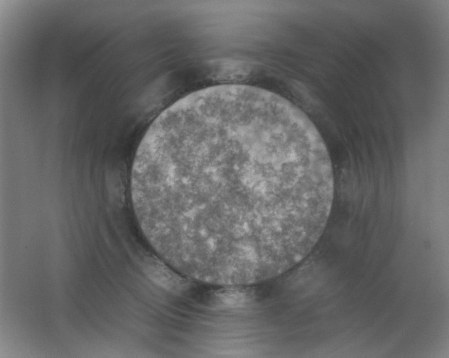 X0000062130370200512231444