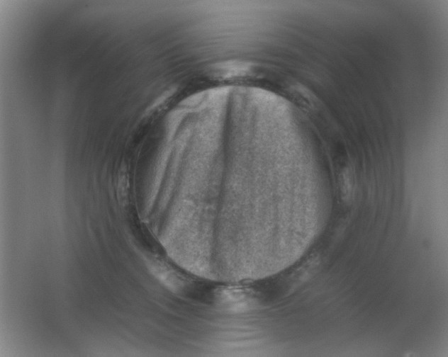 X0000062130372200512231444