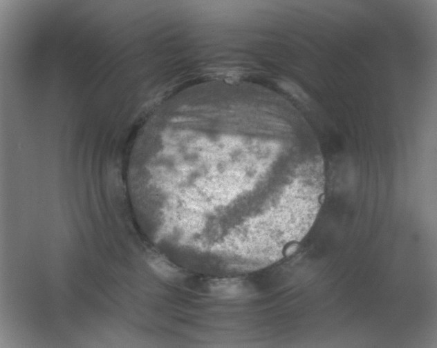 X0000062130377200512231444