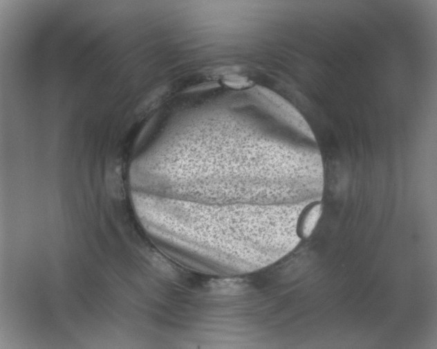 X0000062130378200512231444