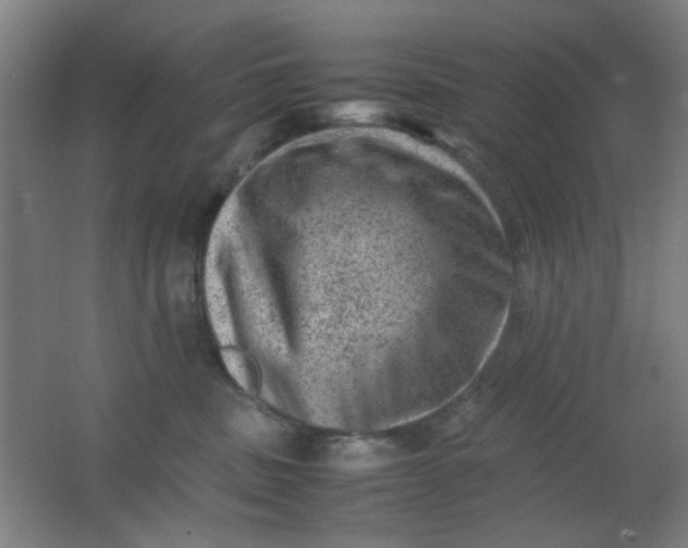 X0000062130379200512231445