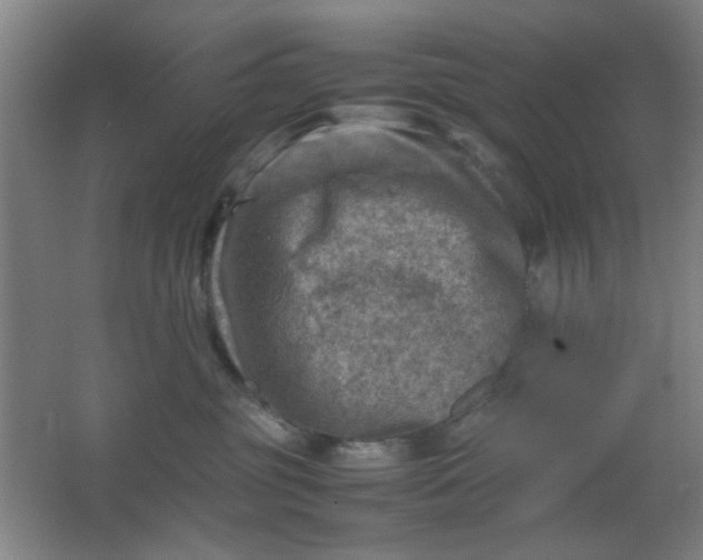 X0000062130381200512231445