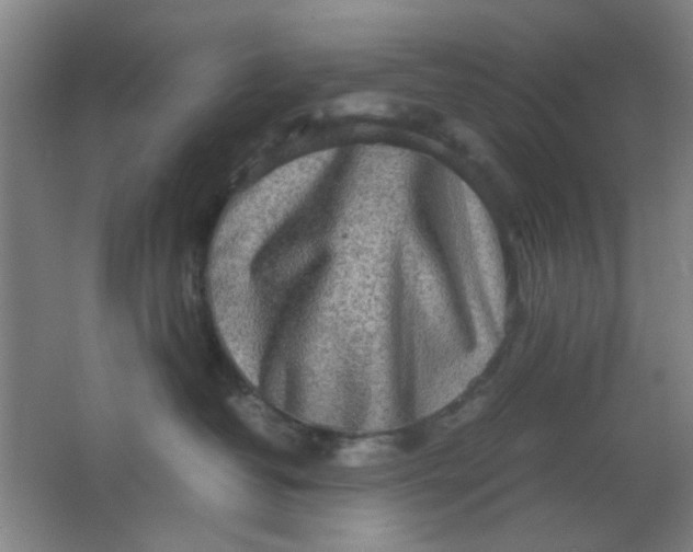 X0000062130382200512231445