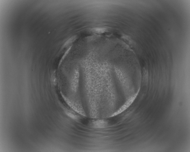 X0000062130383200512231445