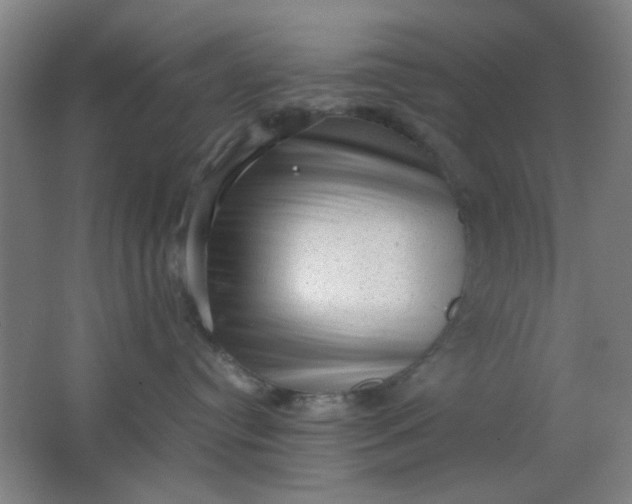 X0000062130384200512231445