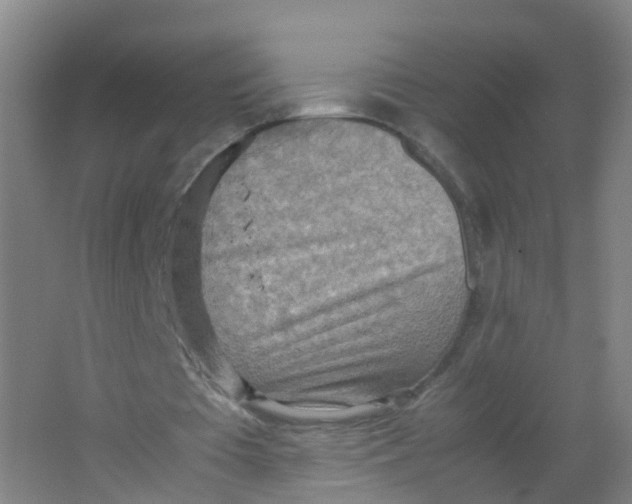 X0000062130385200512231444