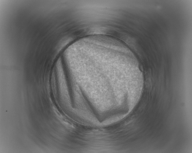 X0000062130386200512231444