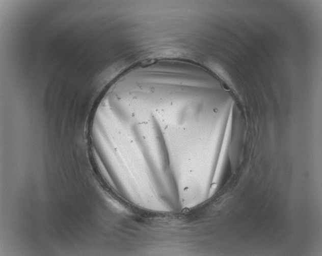 X0000062130389200512231444