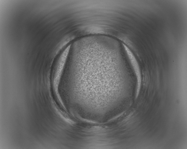 X0000062130390200512231444