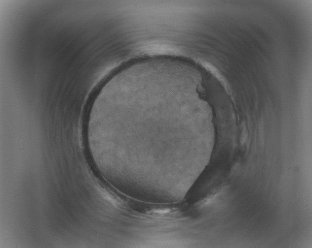 X0000062130391200512231444