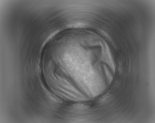 X0000062130392200512231444