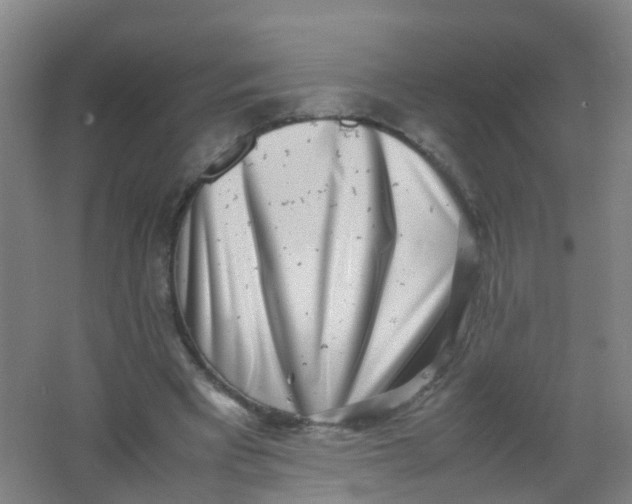 X0000062130393200512231444