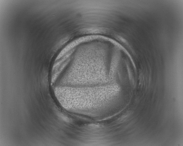 X0000062130394200512231444