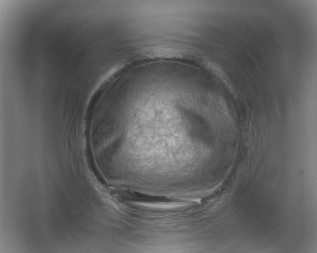 X0000062130395200512231444