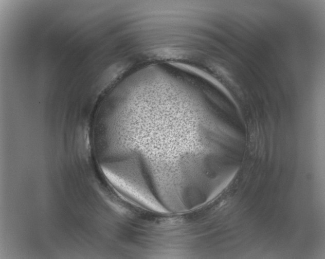 X0000062130398200512231444