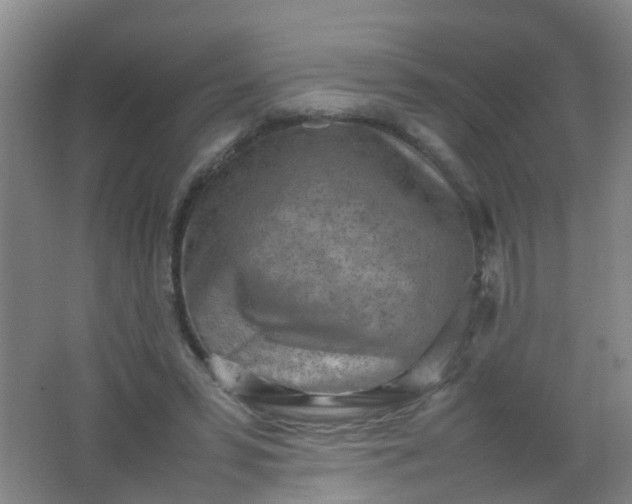 X0000062130399200512231444