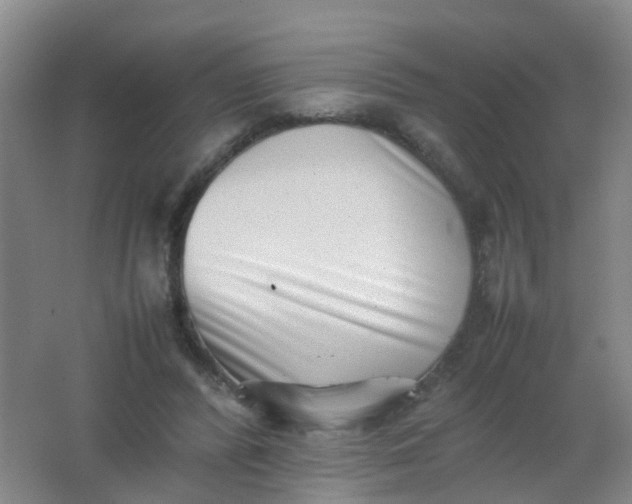 X0000062130400200512231444