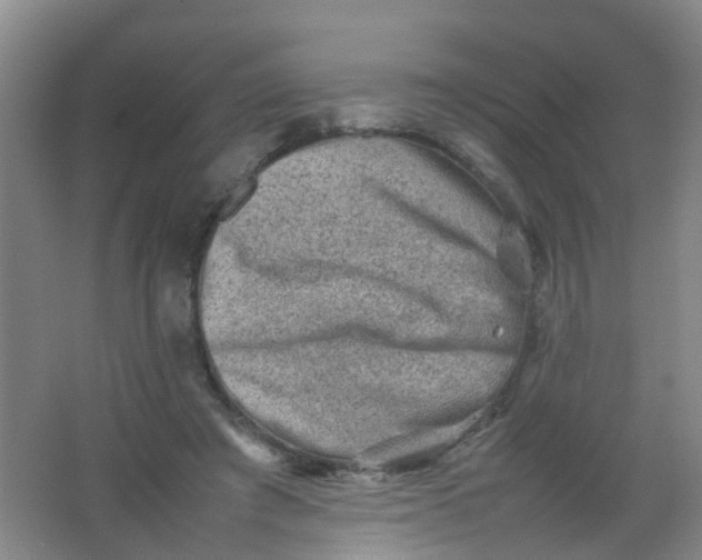 X0000062130401200512231443