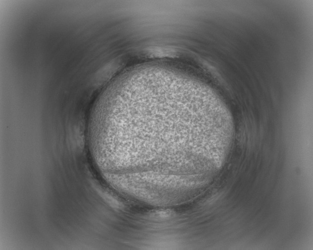 X0000062130402200512231443