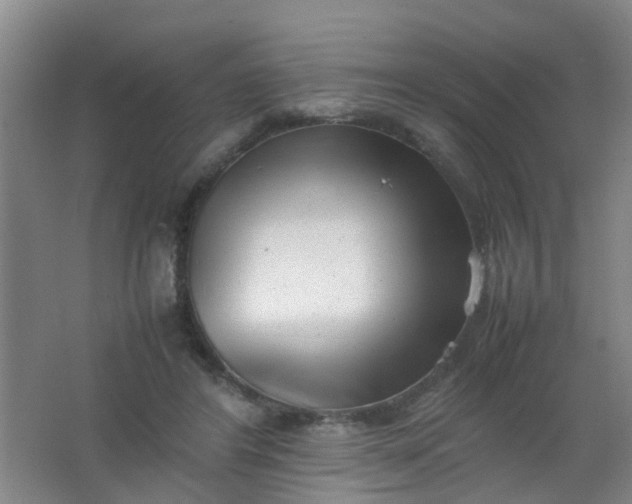 X0000062130404200512231443