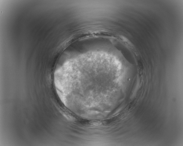 X0000062130405200512231443