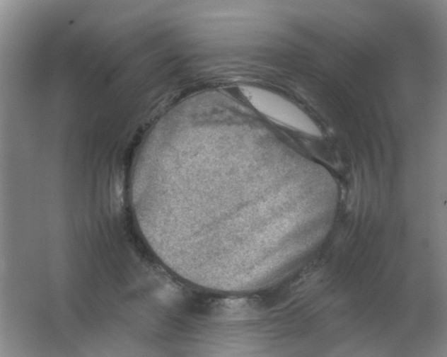 X0000062130406200512231443