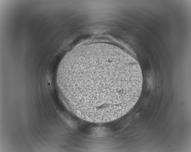 X0000062130408200512231443